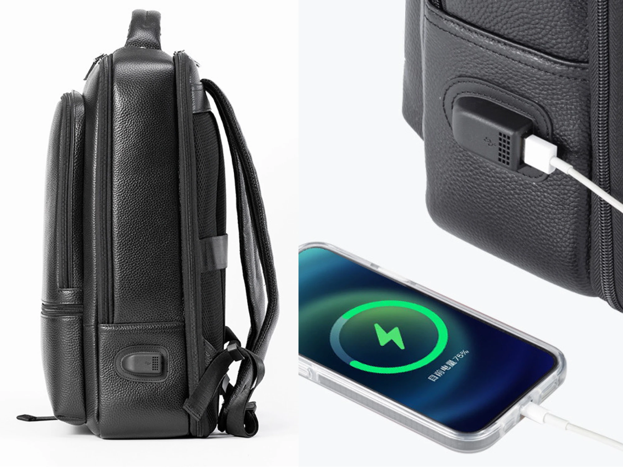 Leather Executive Backpack T06